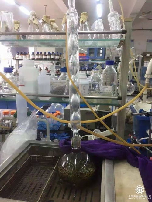 吉林柳河縣 以葡聚糖大米技術(shù)開發(fā)引領(lǐng)農(nóng)業(yè)升級，推動農(nóng)民持續(xù)增收