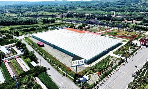 黃土地綻放美麗經(jīng)濟 臨夏百益現(xiàn)代農(nóng)業(yè)科技有限責(zé)任公司技術(shù)開發(fā)側(cè)記